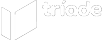 Tríade Educacional — executor