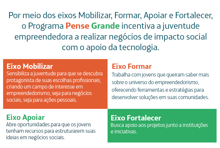 Por meio dos eixos Mobilizar, Formar, Apoiar e Fortalecer, o Programa Pense Grande incentiva a juventude empreendedora a realizar negócios de impacto social com o apoio da tecnologia. Eixo Mobilizar: sensibiliza a juventude para que se descubra protagonista de suas escolhas profissionais, criando um campo de interesse em empreendedorismo, seja para negócios sociais, seja para ações pessoais. Eixo Formar: trabalha com jovens que queiram saber mais sobre o universo do empreendedorismo, oferecendo ferramentas e estratégias para desenvolver soluções em suas comunidades. Eixo Apoiar: abre oportunidades para que os jovens tenham recursos para estruturarem suas ideias em negócios sociais. Eixo Fortalecer: busca apoio aos projetos junto a instituições e iniciativas.