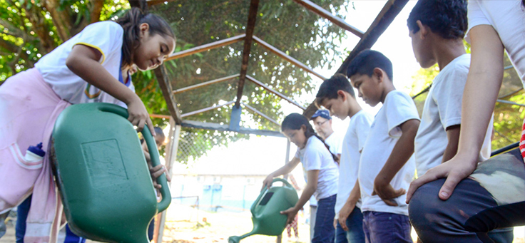Crianças aparecem enfileiradas, em torno da horta da, regando as plantas na Escola Municipal Lili Benchimol