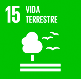 O ODS 15 é sobre Vida Terrestre.