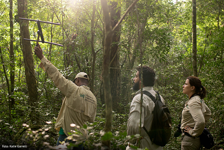 Imagem da bióloga Gabriela Rezende e outros pesquisadores na floresta