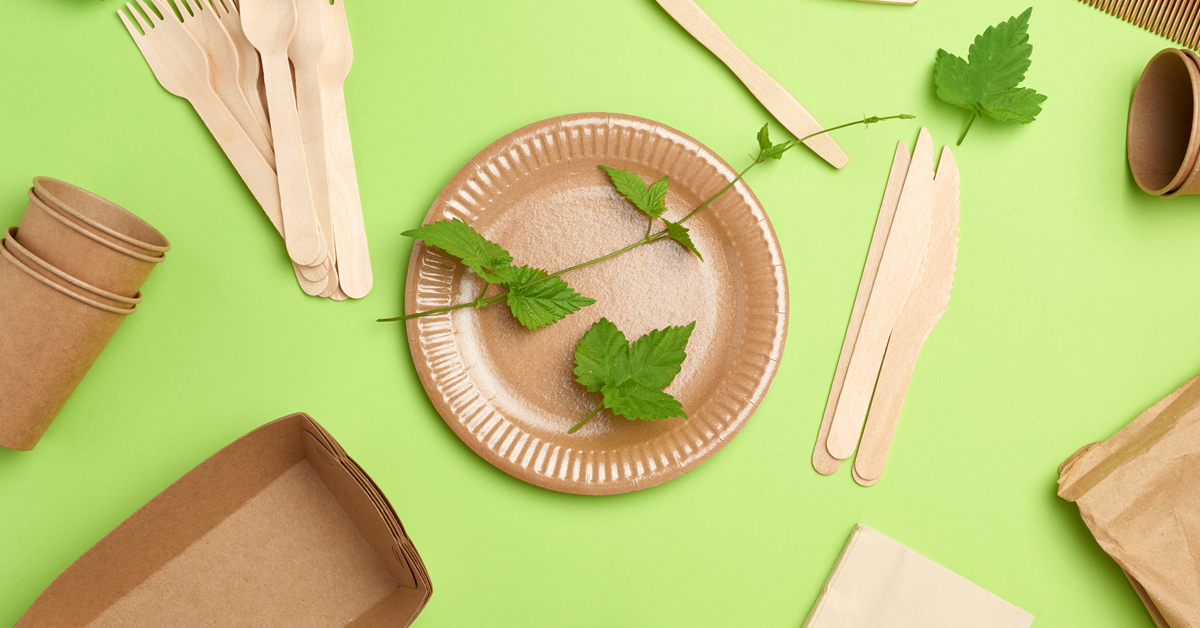 Imagem que representa consumo consciente mostra utensílios, como garfos, escovas e pentes, feitos de materiais sustentáveis como o bambu sobre uma mesa, dispostos entre ramos de folhas