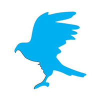 Imagem do perfil Gerando Falcões no Instagram
