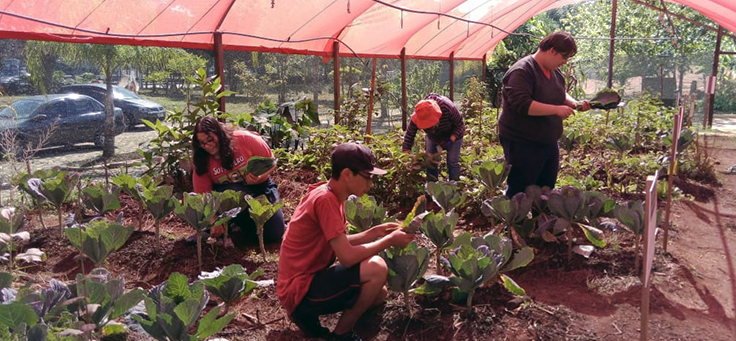 A foto mostra voluntários usando bonés e trabalhando em meio a plantação na Horta das Flores, onde o projeto Horta Inteligente será empregado