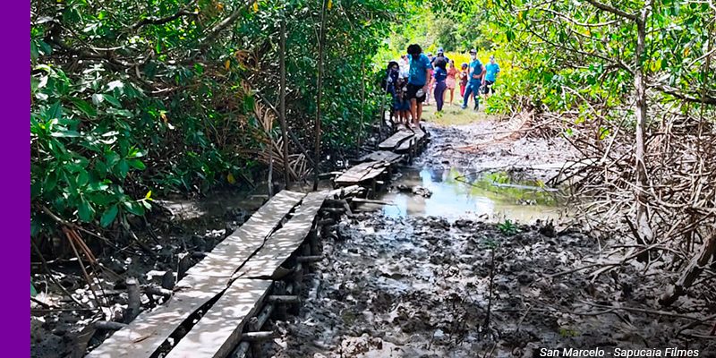 Imagem mostra um grupo de educadores e crianças do projeto que preserva manguezais através da educação ambiental. Eles estão reunidos em direção a uma espécie de ponte de madeira por onde poderão atravessar a área do mangue