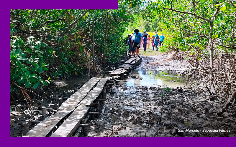 Imagem mostra um grupo de educadores e crianças do projeto que preserva manguezais através da educação ambiental. Eles estão reunidos em direção a uma espécie de ponte de madeira por onde poderão atravessar a área do mangue