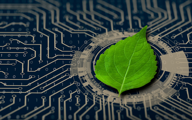 Imagem artística de uma folha verde colada a placa-mãe de um computador